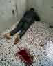 low quality blurry photo of a corpse in a bathroom with blood on the floor